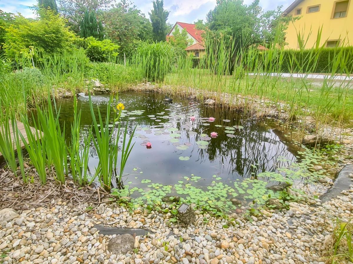 Ditlin Apartmanok Pápa Dış mekan fotoğraf